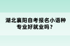 湖北襄陽自考報(bào)名小語種專業(yè)好就業(yè)嗎？