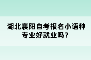 湖北襄陽自考報名小語種專業(yè)好就業(yè)嗎？