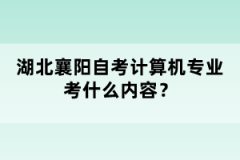 湖北襄陽自考計(jì)算機(jī)專業(yè)考什么內(nèi)容？