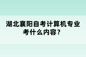 湖北襄陽自考計算機(jī)專業(yè)考什么內(nèi)容？