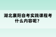 湖北襄陽自考實(shí)踐課程考什么內(nèi)容呢？