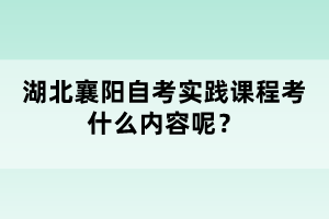 湖北襄陽自考實(shí)踐課程考什么內(nèi)容呢？