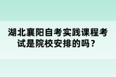 湖北襄陽(yáng)自考實(shí)踐課程考試是院校安排的嗎？