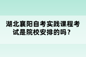 湖北襄陽自考實踐課程考試是院校安排的嗎？