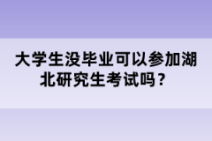 大學生沒畢業(yè)可以參加湖北研究生考試嗎？