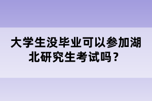 大學(xué)生沒畢業(yè)可以參加湖北研究生考試嗎？