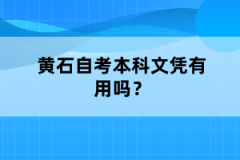 黃石自考本科文憑有用嗎？