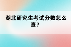 湖北研究生考試分?jǐn)?shù)怎么查？