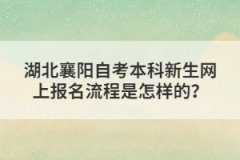 湖北襄陽(yáng)自考本科新生網(wǎng)上報(bào)名流程是怎樣的？