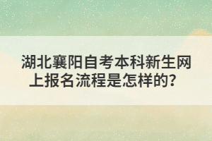 湖北襄陽自考本科新生網上報名流程是怎樣的？