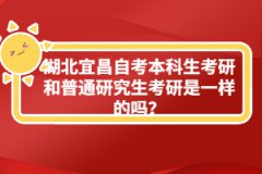 湖北宜昌自考本科生考研和普通研究生考研是一樣的嗎？