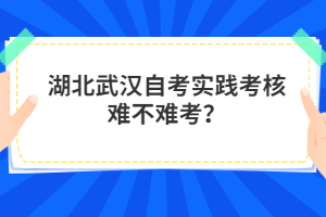 湖北武漢自考實踐考核難不難考？