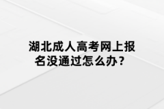 湖北成人高考網上報名沒通過怎么辦？