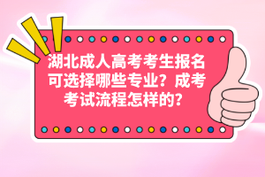 湖北成人高考考生報(bào)名可選擇哪些專業(yè)？成考考試流程怎樣的？