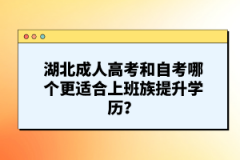 湖北成人高考和自考哪個(gè)更適合上班族提升學(xué)歷？