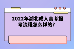 2022年湖北成人高考報考流程怎么樣的？