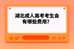湖北成人高考考生會(huì)有哪些費(fèi)用？