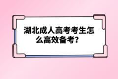 湖北成人高考考生怎么高效備考？