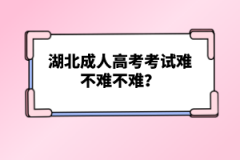 湖北成人高考考試難不難？