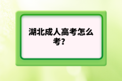 湖北成人高考怎么考？