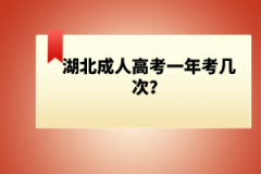 湖北成人高考一年考幾次？