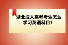 湖北成人高考考生怎么學習英語科目？