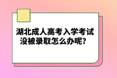 湖北成人高考入學(xué)考試沒(méi)被錄取怎么辦呢？
