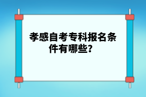 孝感自考?？茍竺麠l件有哪些？