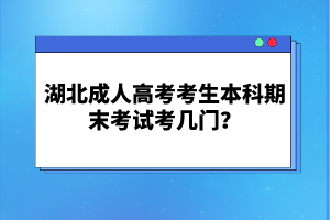 湖北成人高考考生本科期末考試考幾門？