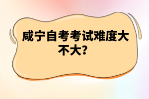 咸寧自考考試難度大不大？