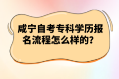 咸寧自考專科學(xué)歷報名流程怎么樣的？