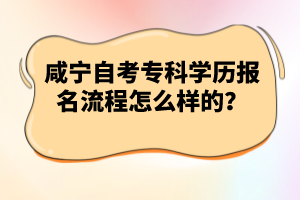 咸寧自考專科學(xué)歷報(bào)名流程怎么樣的？