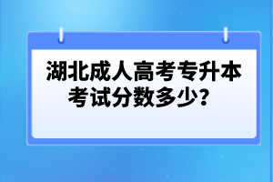 湖北成人高考專升本考試分?jǐn)?shù)多少？
