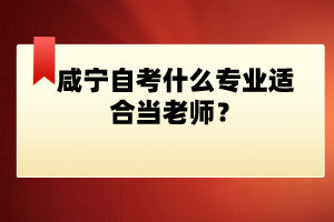 咸寧自考什么專業(yè)適合當(dāng)老師？