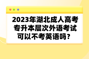 2023年湖北成人高考專升本層次外語(yǔ)考試可以不考英語(yǔ)嗎？
