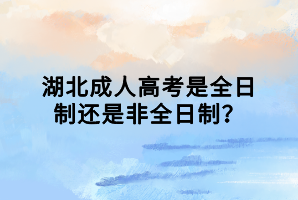 湖北成人高考是全日制還是非全日制？