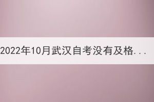 2022年10月武漢自考沒有及格可以補考嗎？